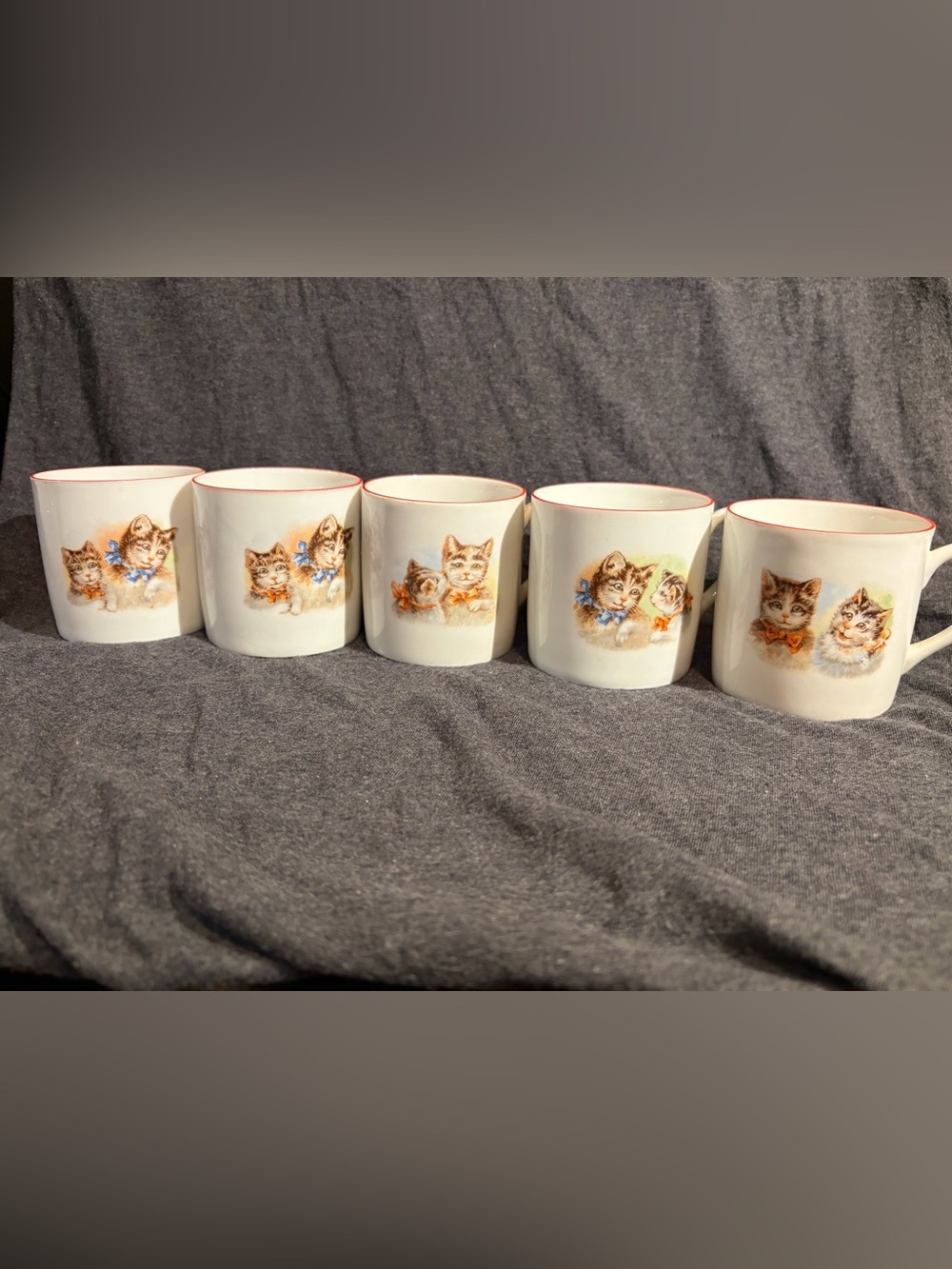Beautiful Kittens Mug Set of 5